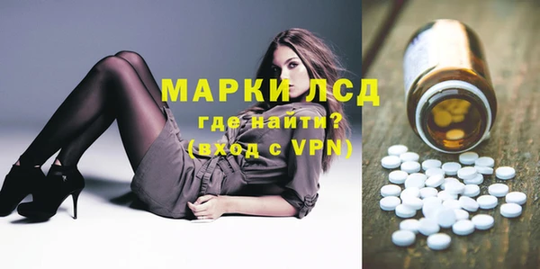 шишки Няндома