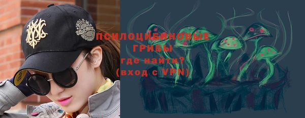 шишки Няндома