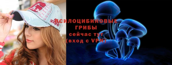 молекула духа Нягань
