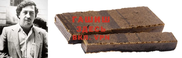 шишки Няндома