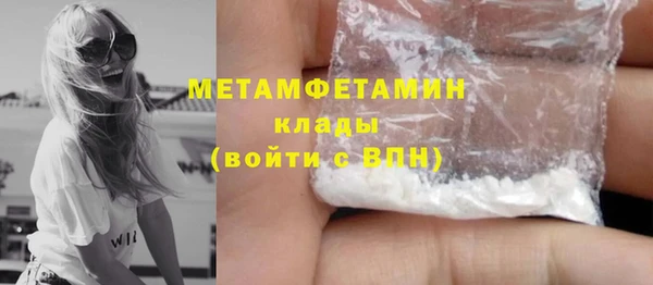 шишки Няндома