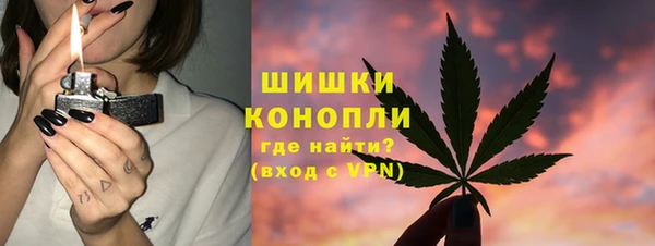 молекула духа Нягань