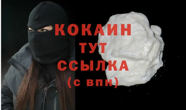 молекула духа Нягань