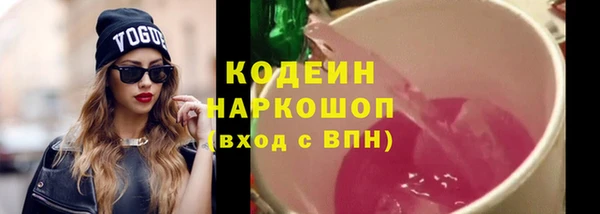 молекула духа Нягань