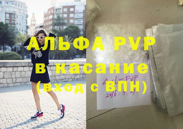 шишки Няндома
