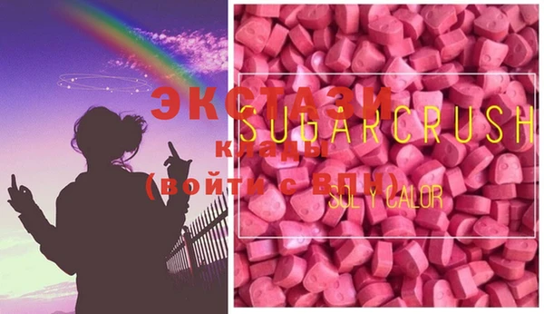 шишки Няндома