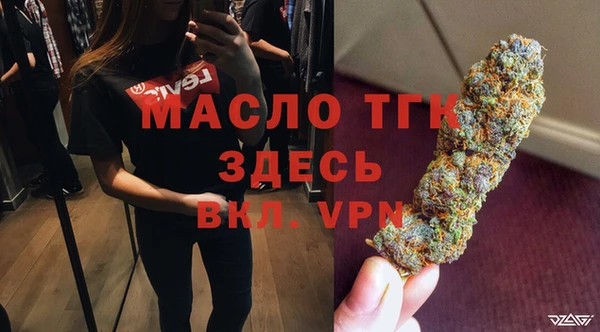 шишки Няндома