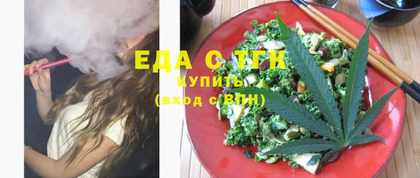 шишки Няндома
