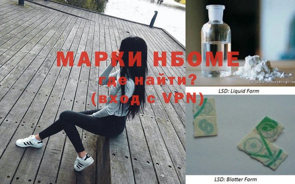 шишки Няндома