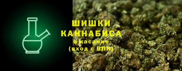 шишки Няндома