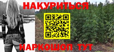 крисы Гай