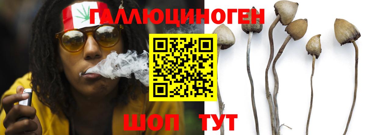 Майский  Галлюциногенные грибы MAGIC MUSHROOMS  Вход с VPN 